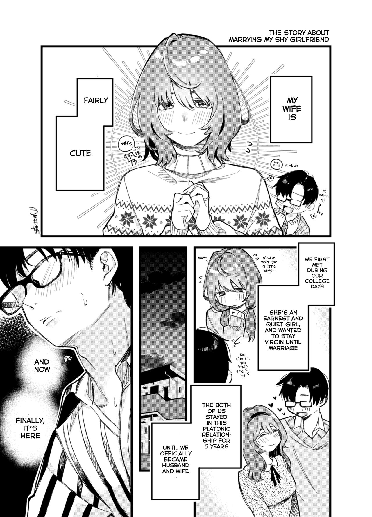 The Story About Marrying My Shy Girlfriend cover