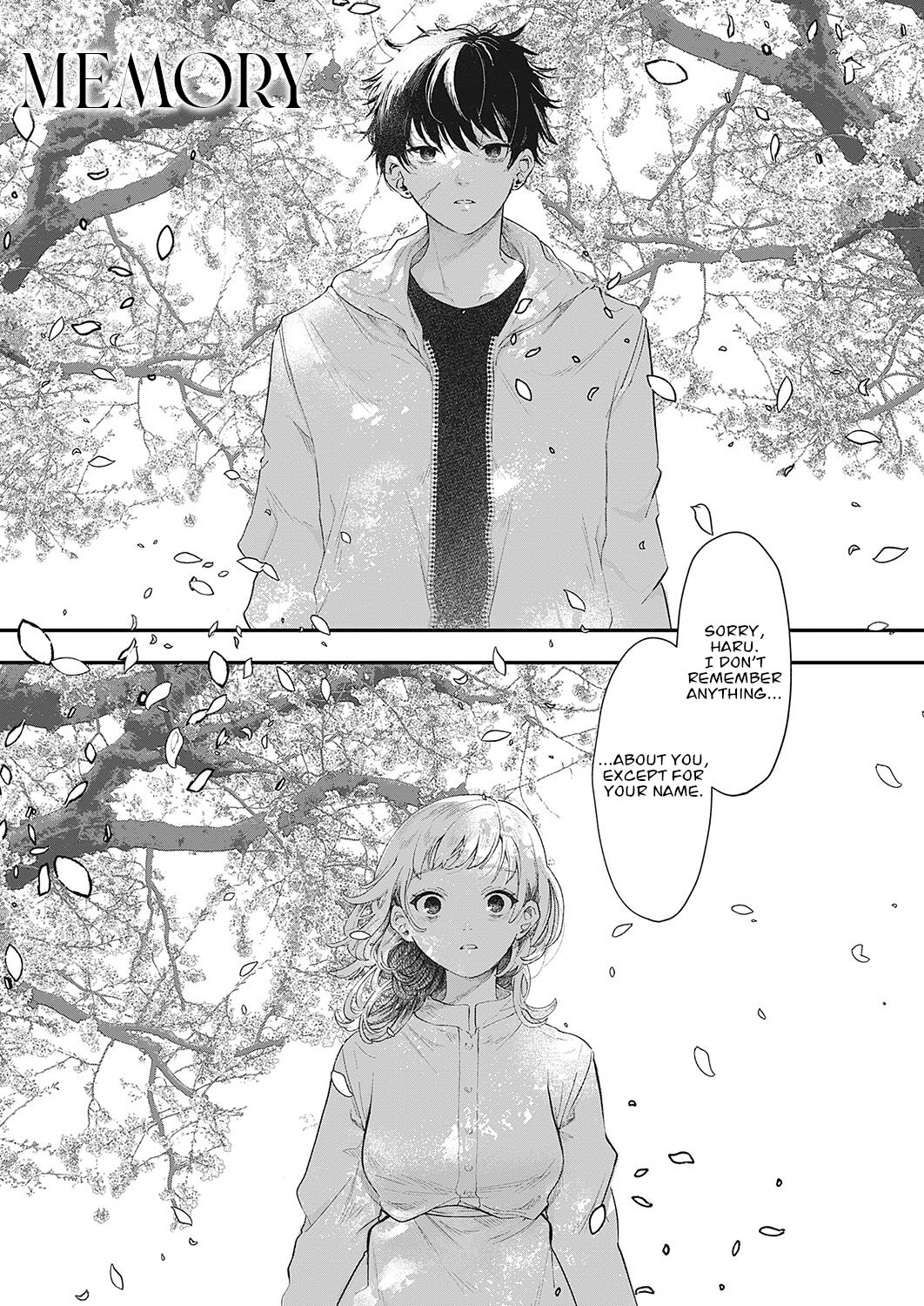 Memory cover