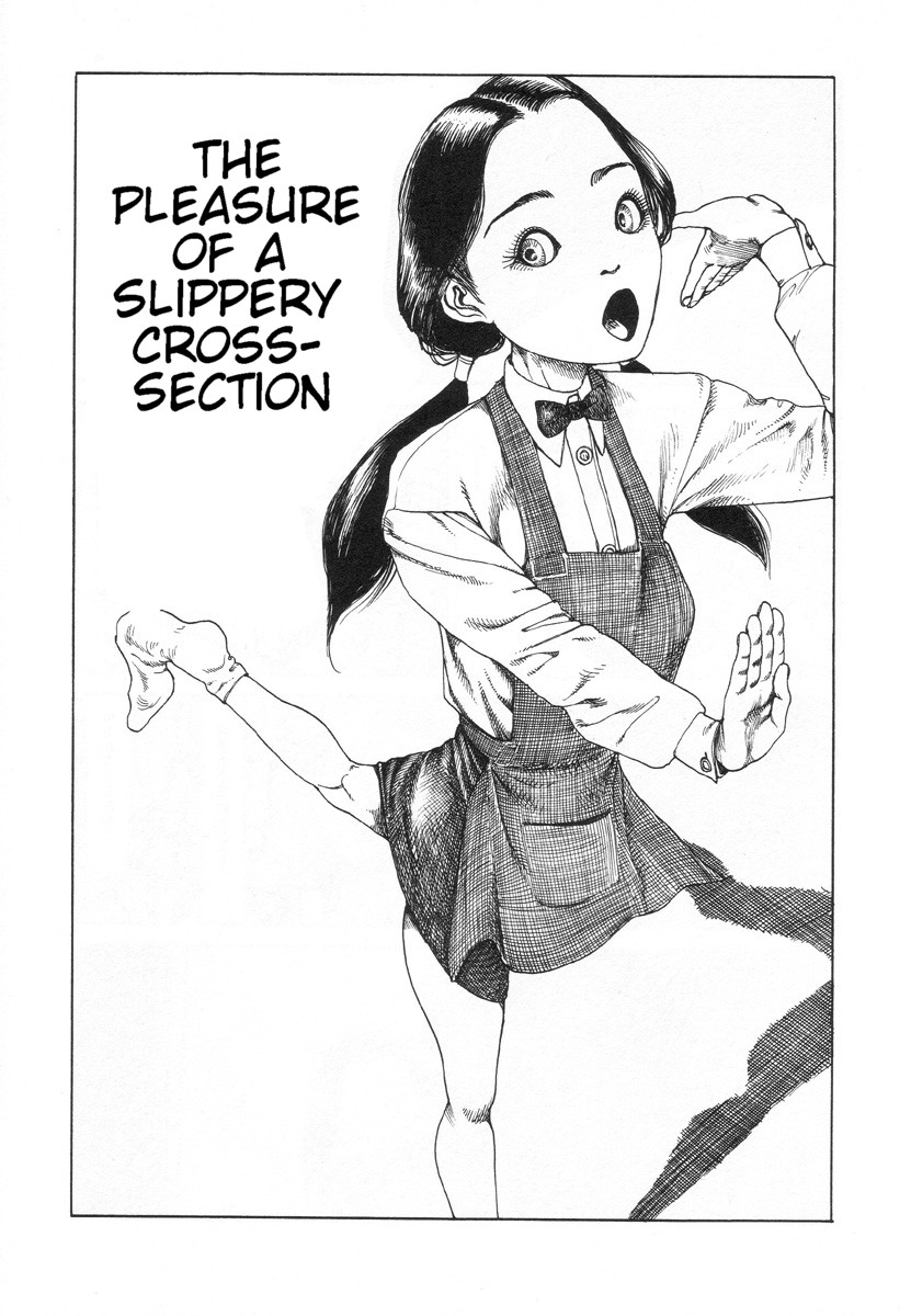 Shintaro Kago - The pleasure of a slippery cross-section cover