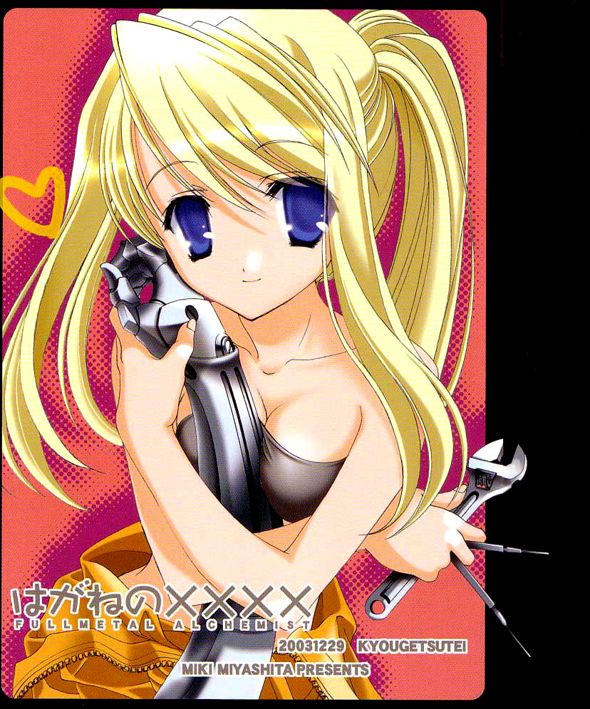 Hagane No XXXX cover