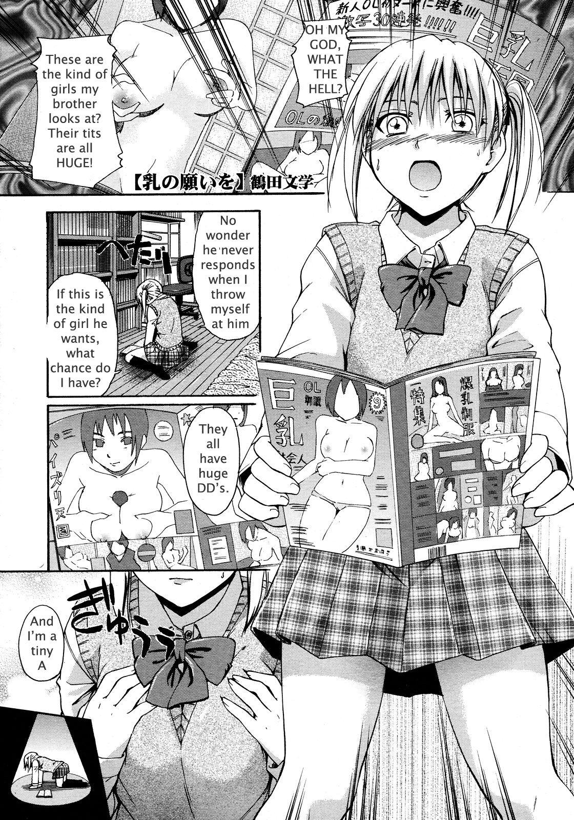 Sister's Big Boob Wish cover