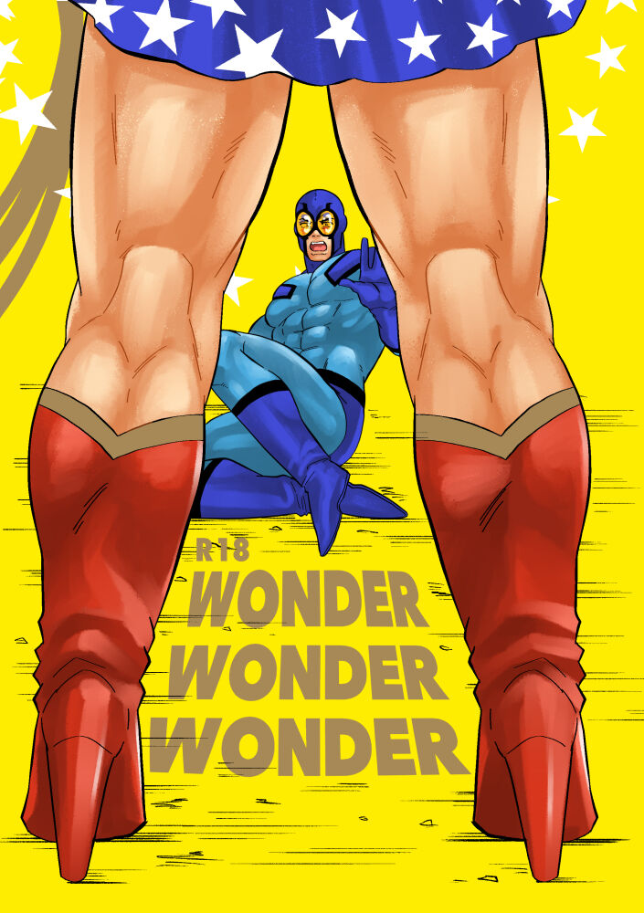 WONDER WONDER WONDER cover