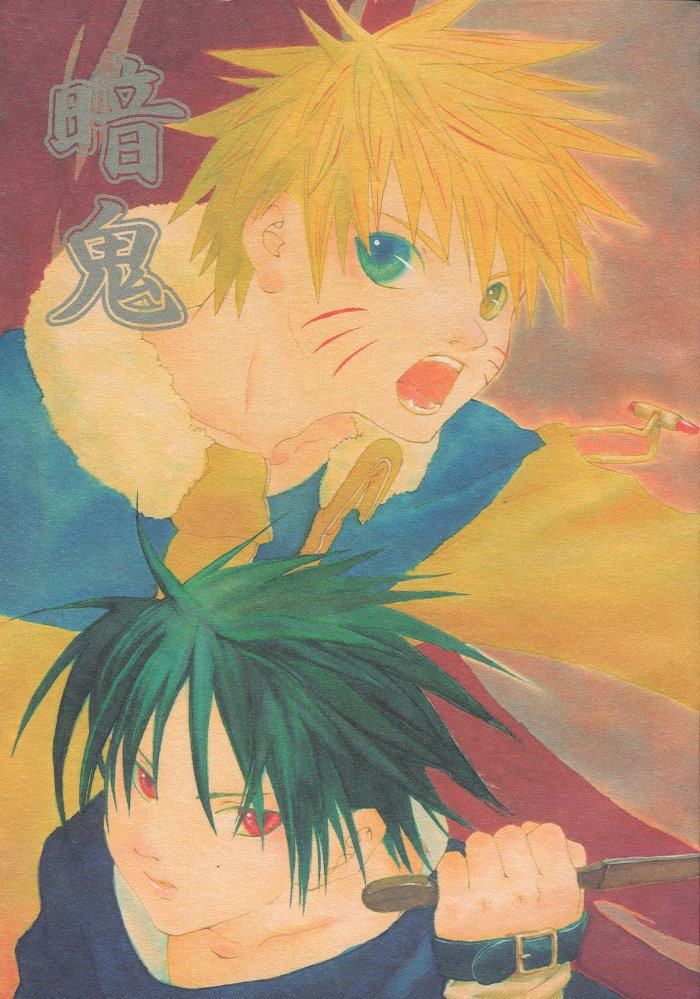 Anki cover