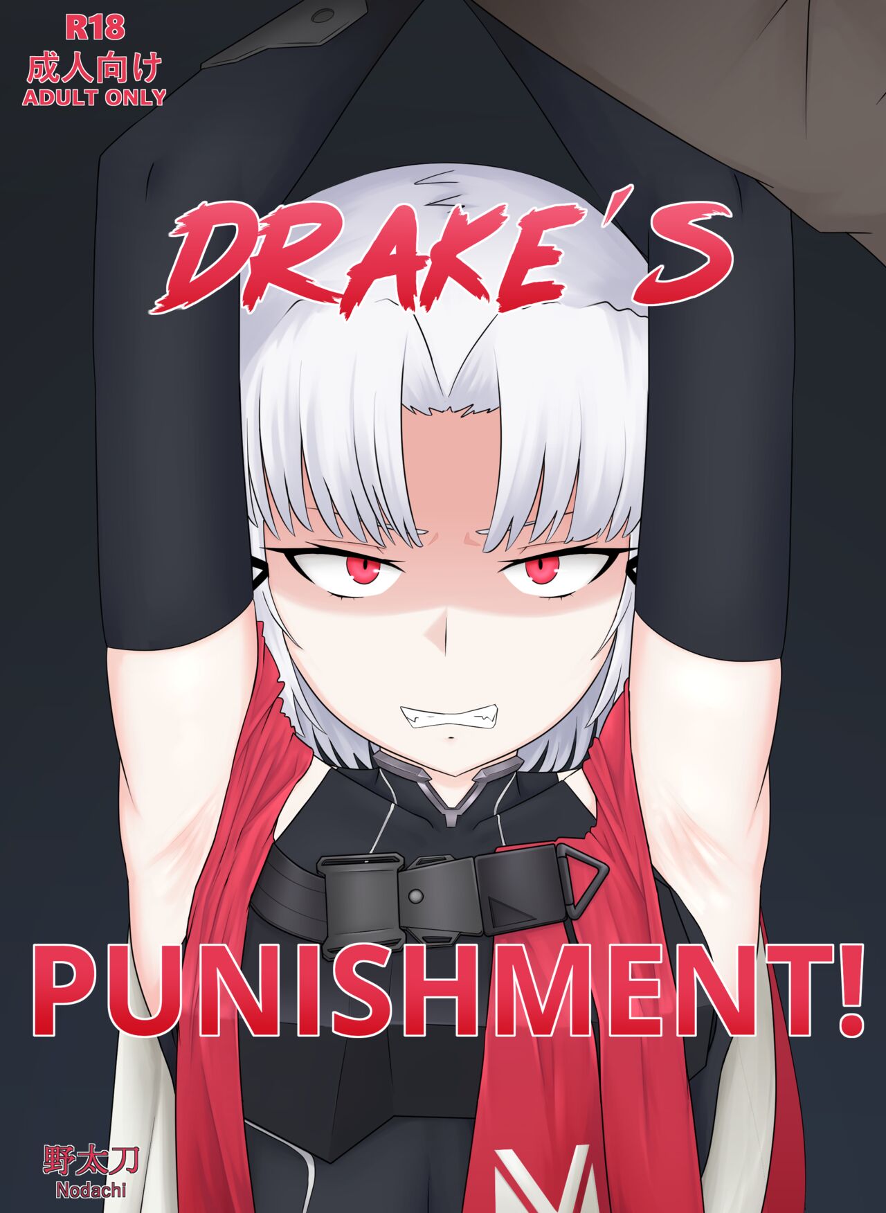 Drake's Punishment! cover