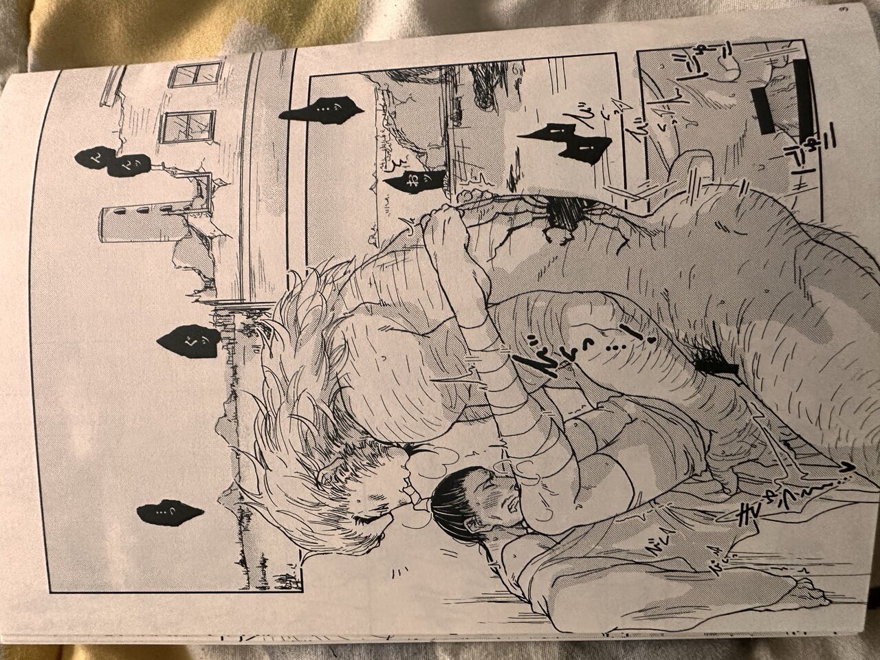 Hxh noubunga x uvogin cover
