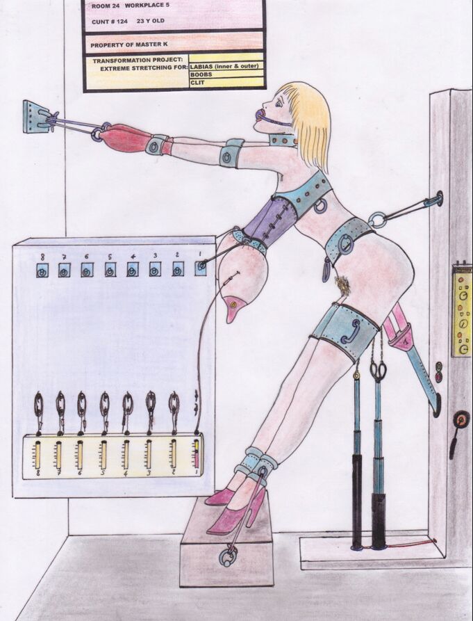 The fate of Barbara cover