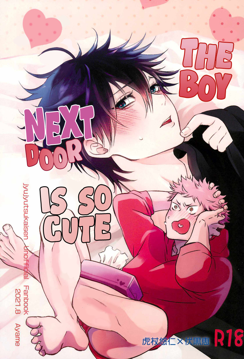 The Boy Next Door Is So Cute cover