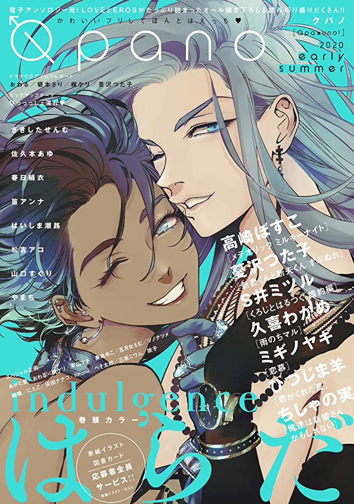 indulgence cover