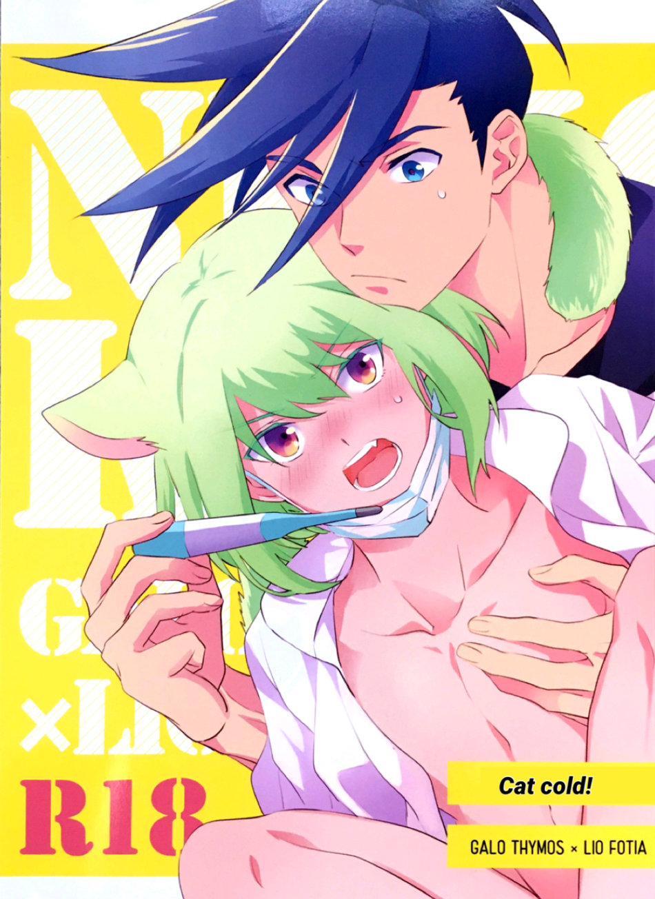 Cat cold! cover