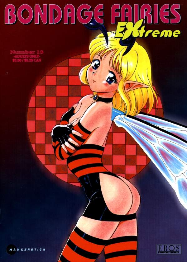 Bondage Fairies Extreme 13 cover