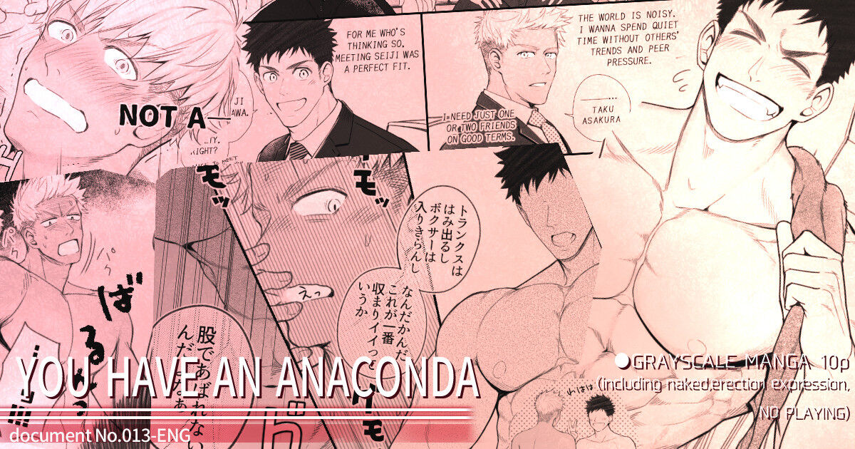 YOU HAVE AN ANACONDA cover