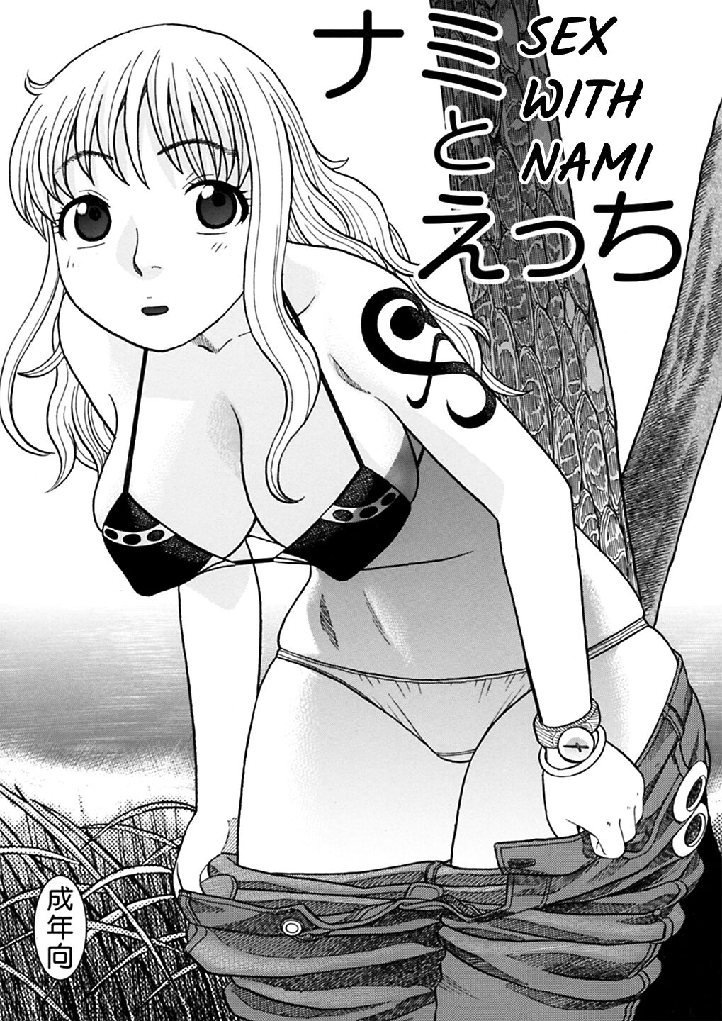 Sex with Nami cover