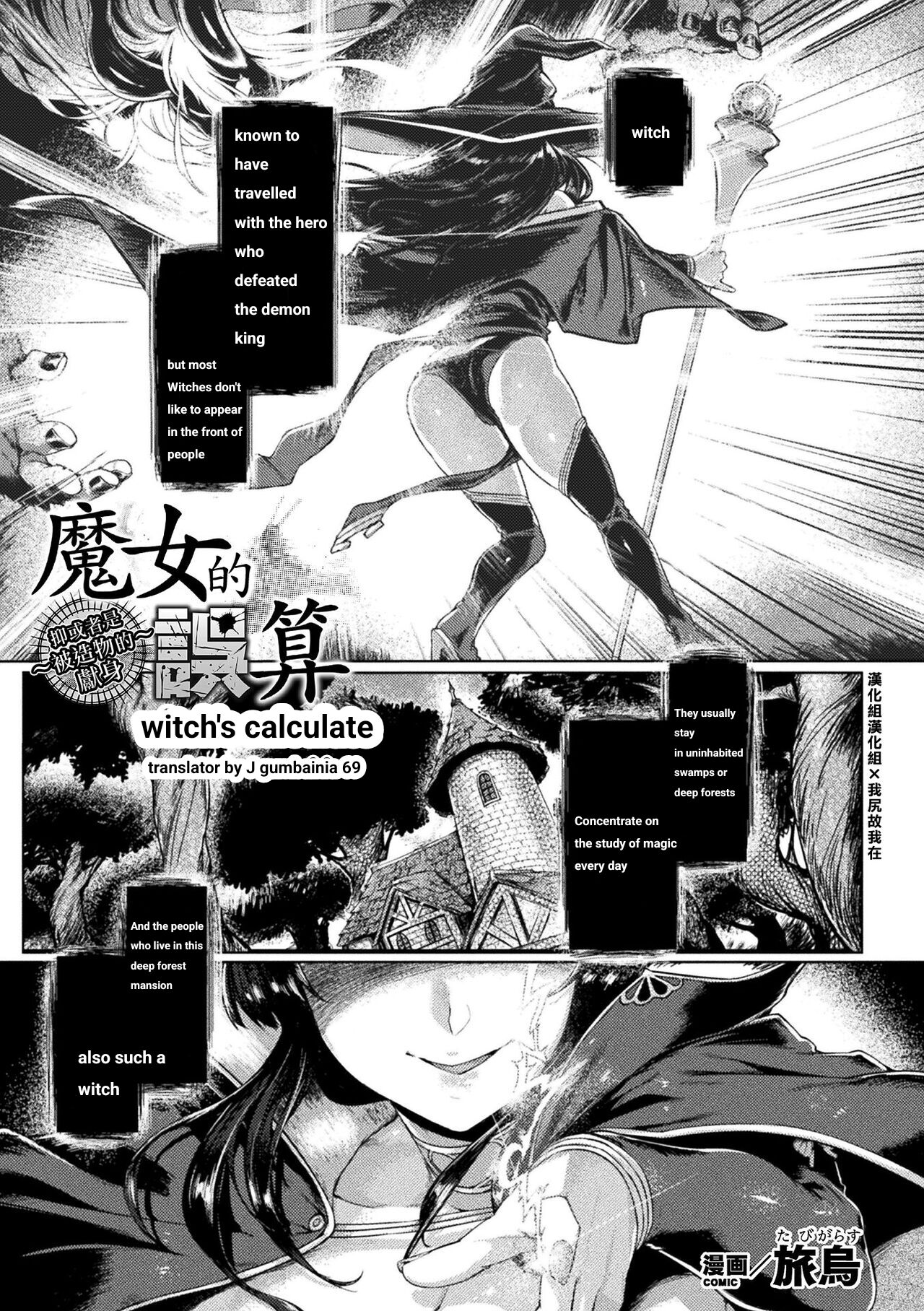 Witch's Calculation cover