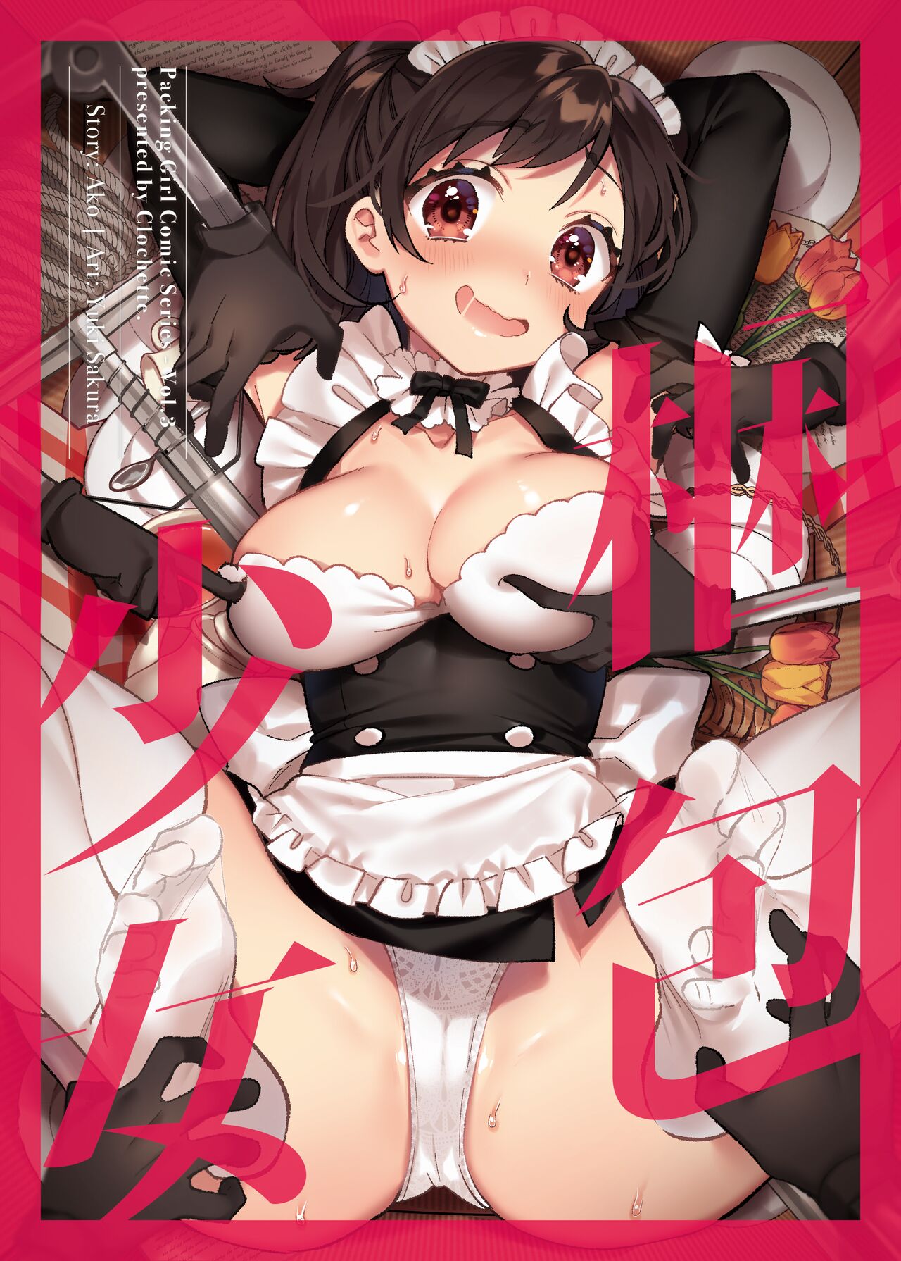 Packaged Girls 3 cover