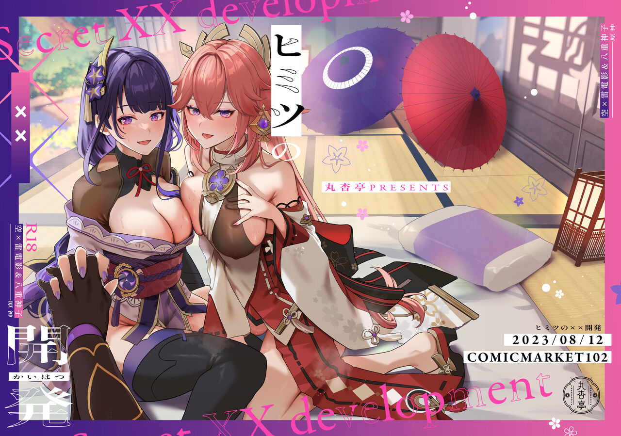 Secret XX Development cover
