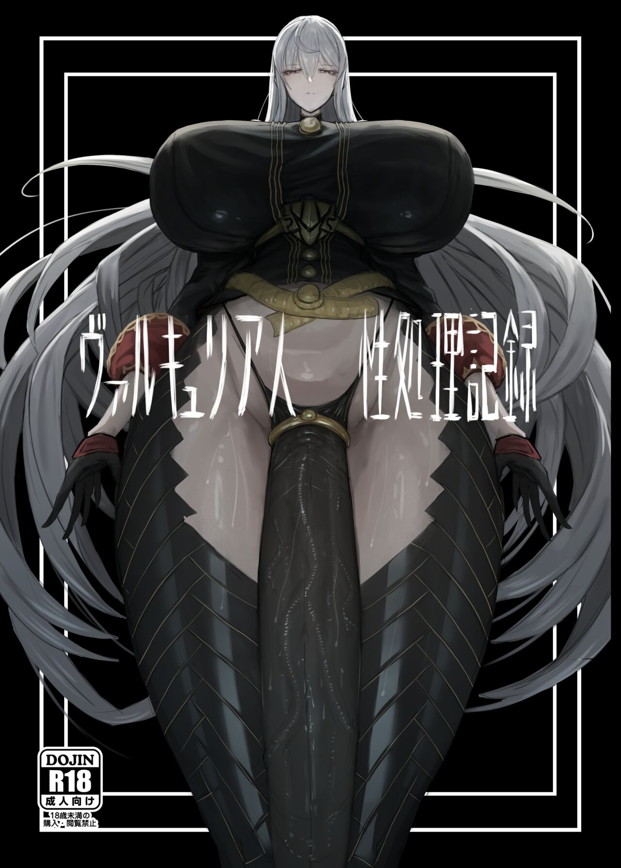 Valkyria Jin Seishori Kiroku cover