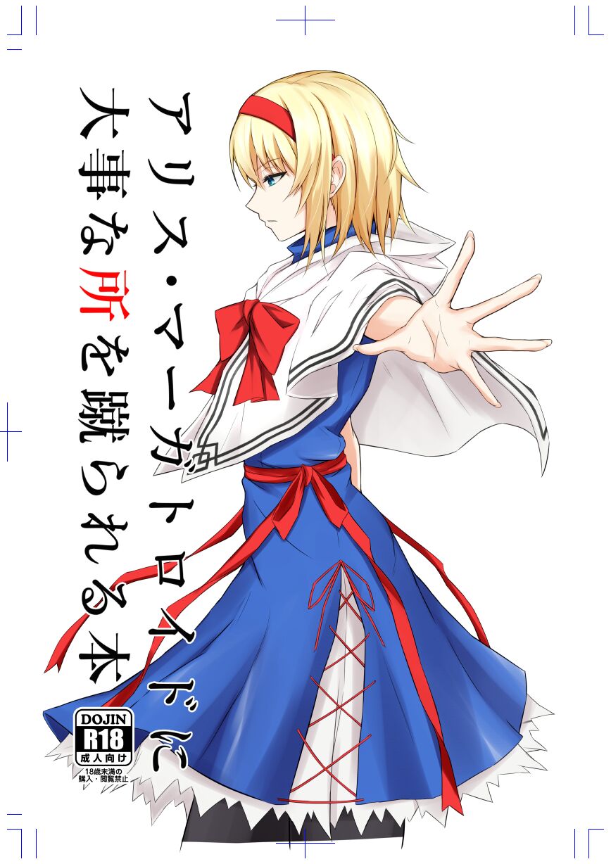 Alice Margatroid ni Daiji na Tokoro o Kerareru Hon cover