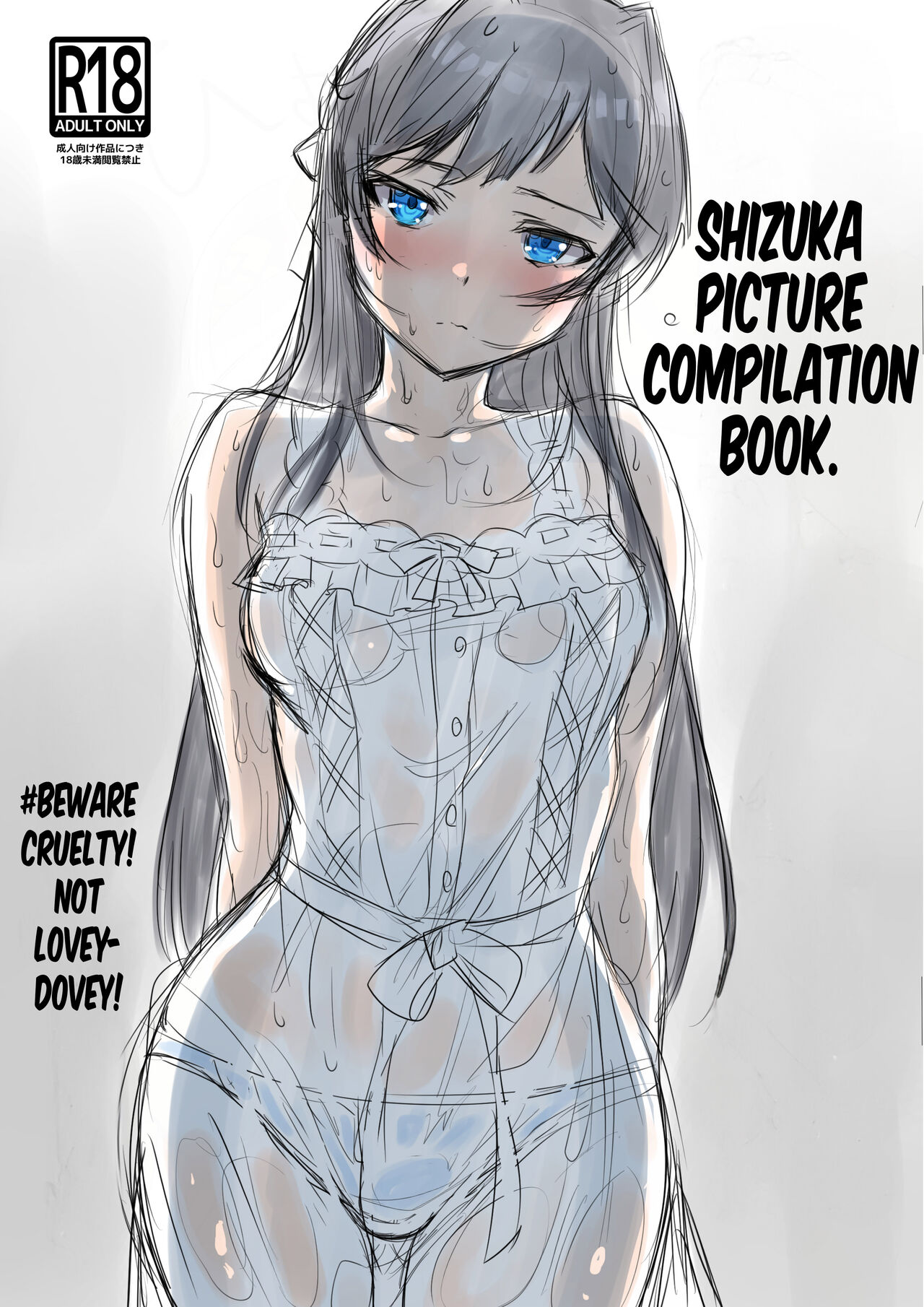 Shizuka Picture Compilation Book. cover