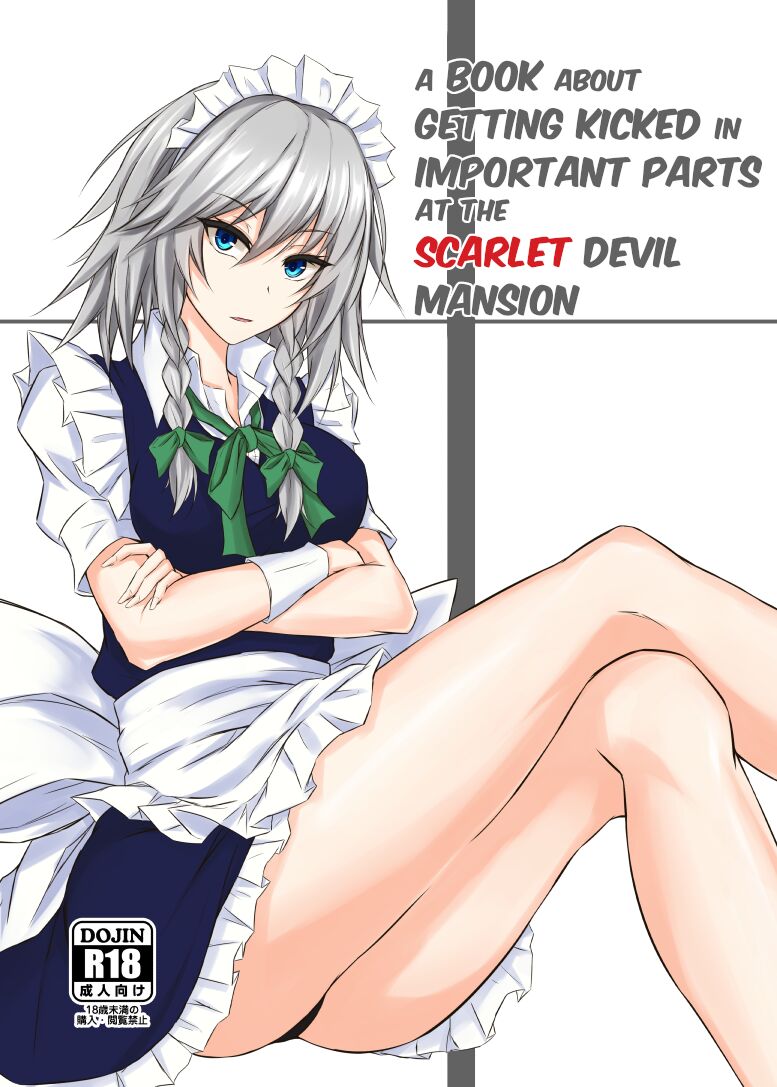 A book about getting kicked in important parts at the Scarlet Devil Mansion cover