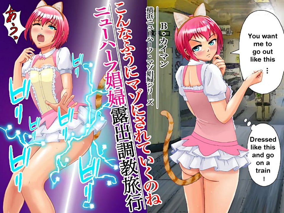 Transsexual prostitute exhibitionist training trip cover
