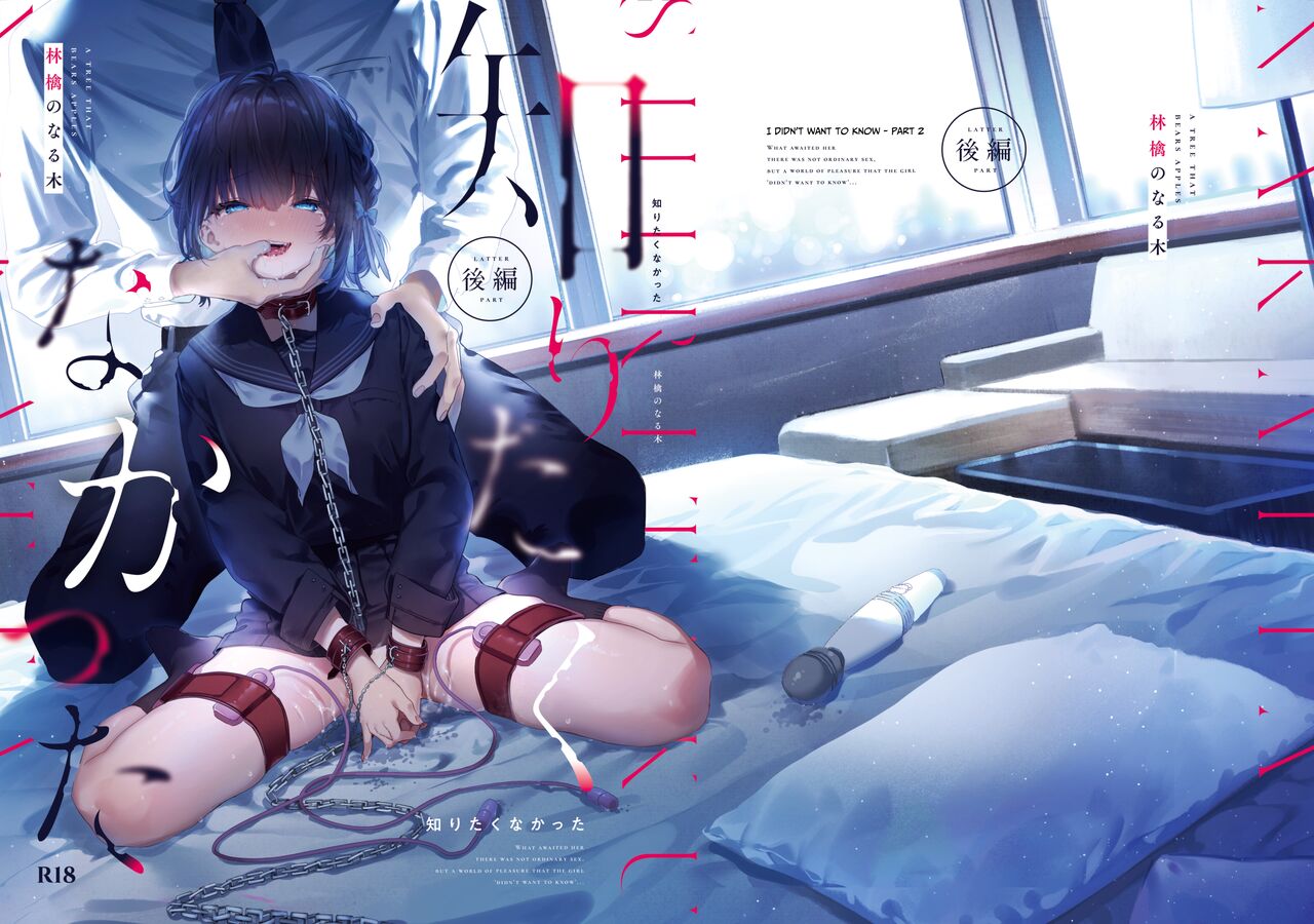 I Wish I Had Not Known ~Part 2~ cover