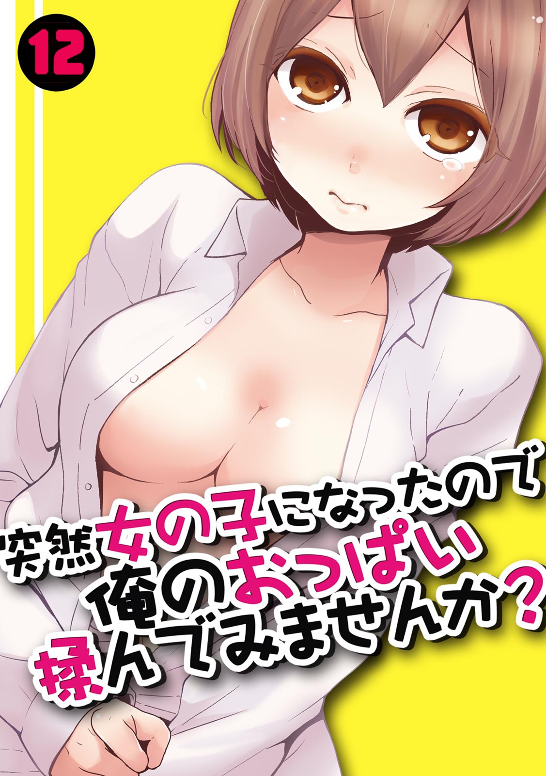 Totsuzen Onnanoko ni Natta node, Ore no Oppai Monde mimasen ka? 12 cover