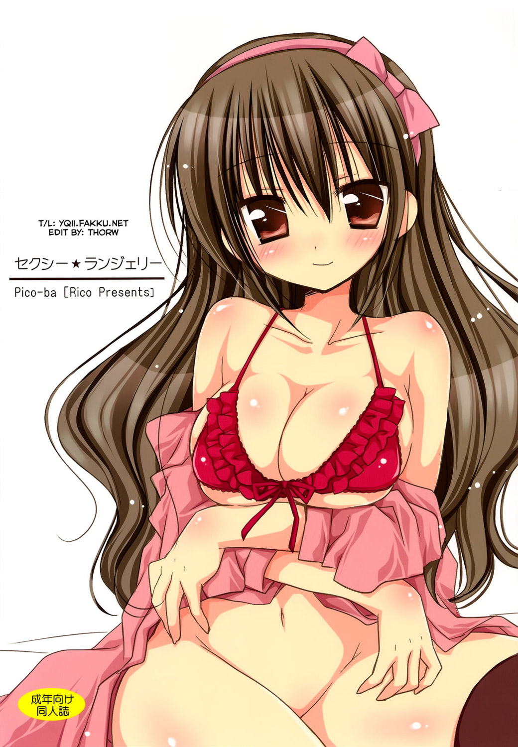 Sexy Lingerie cover