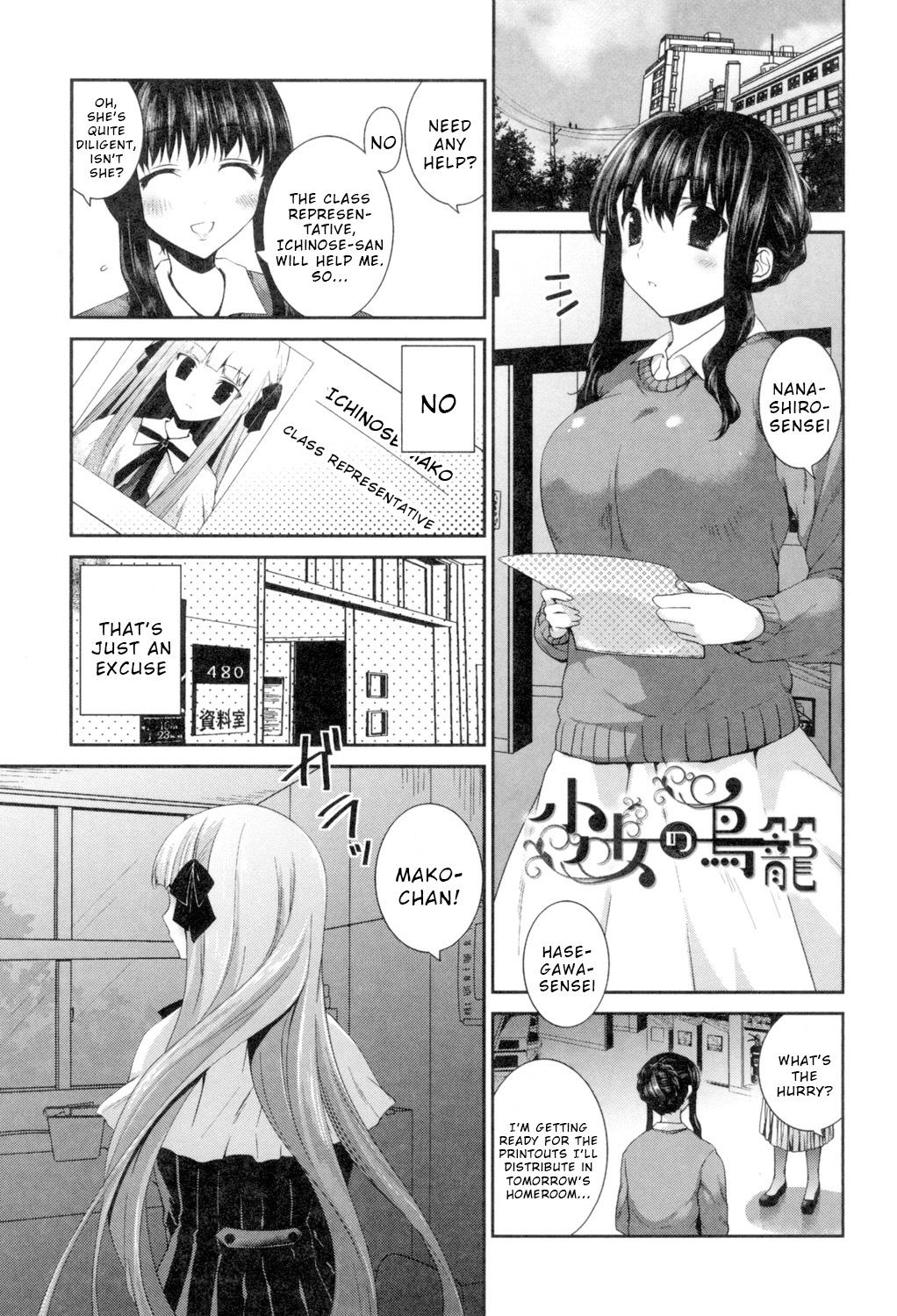 Girl's Birdcage cover