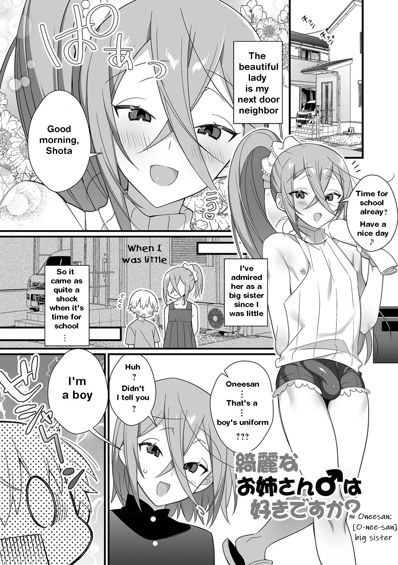 The beautiful big-sister next door cover