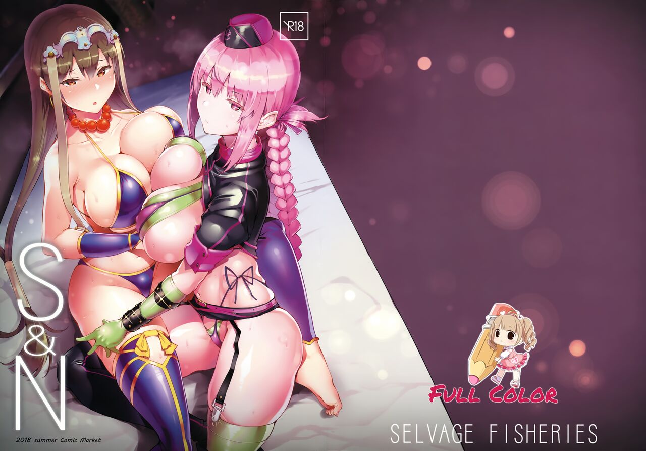 S&N cover