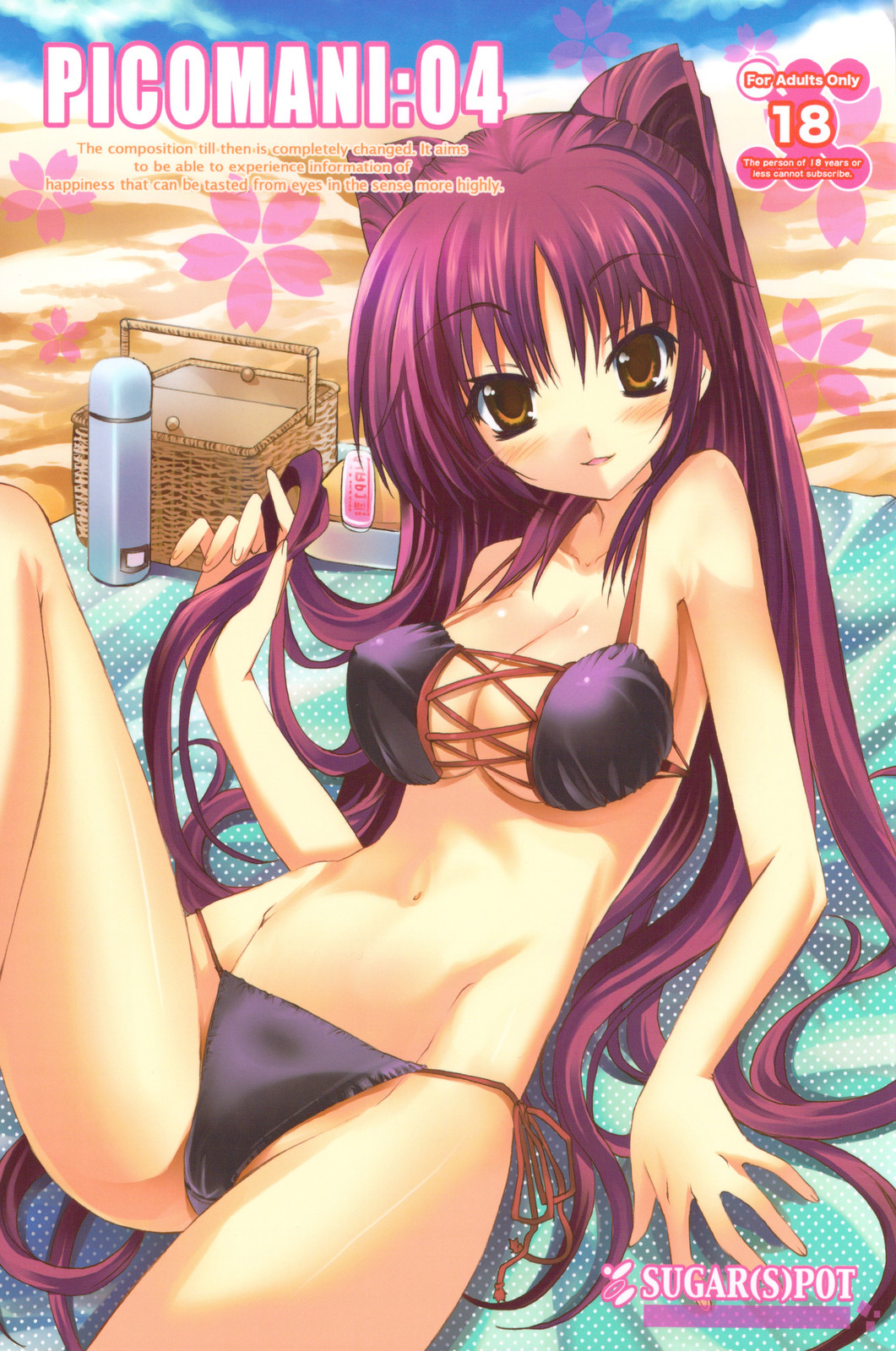 PICOMANI:04 cover