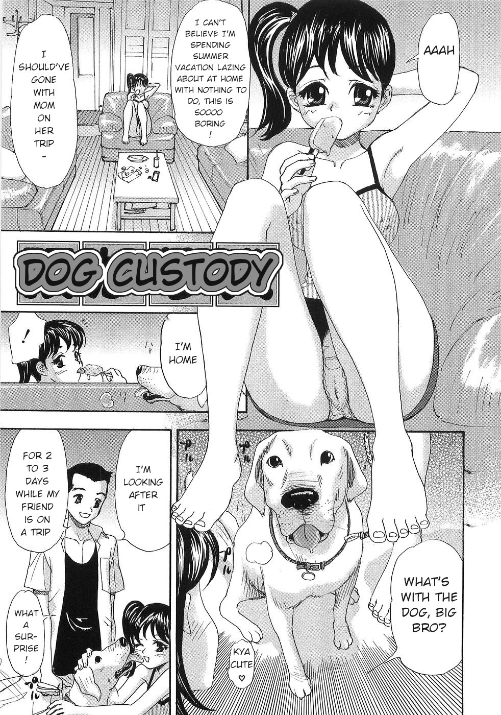 Dog Custody cover