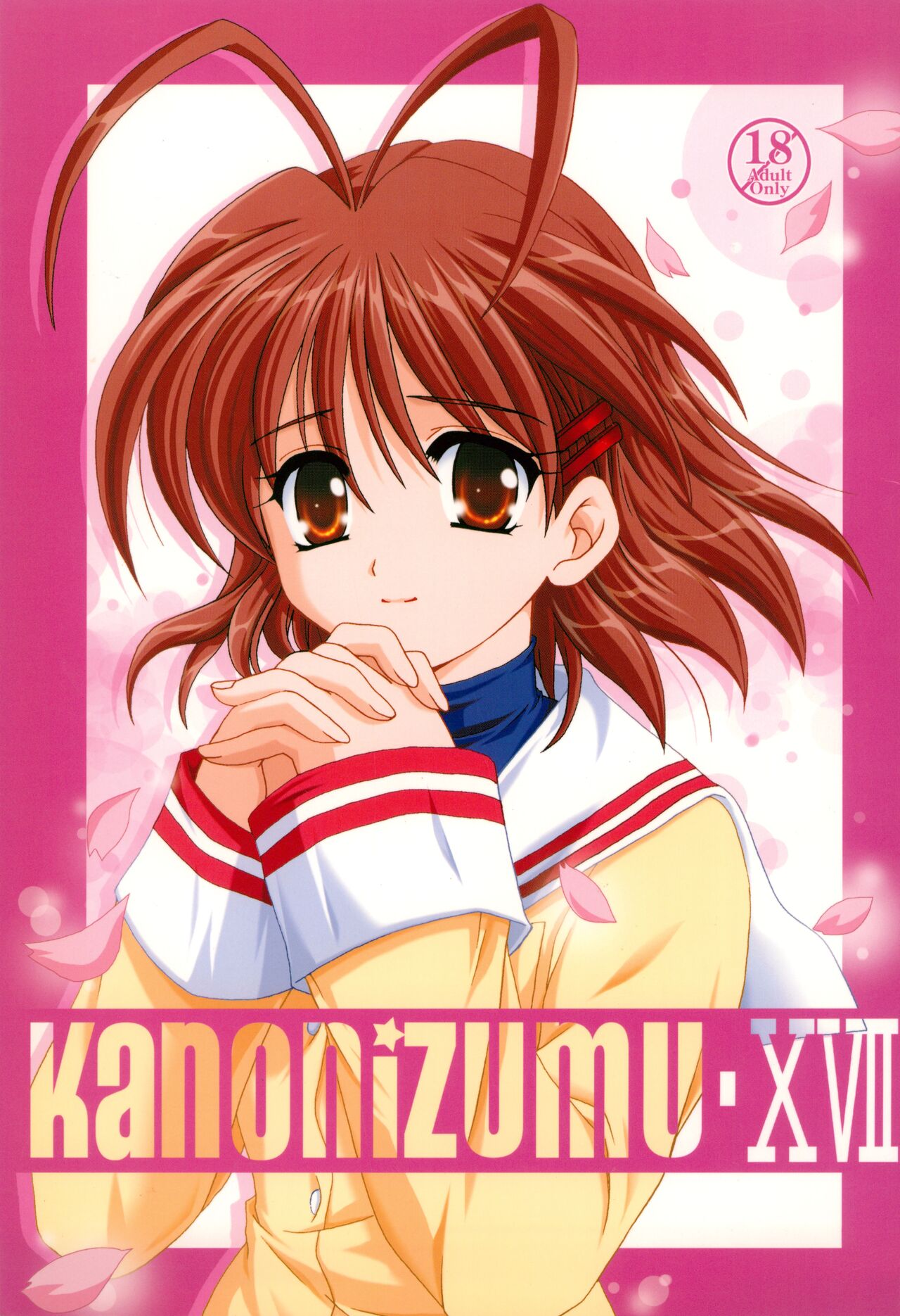 KANONiZUMU·XVII cover