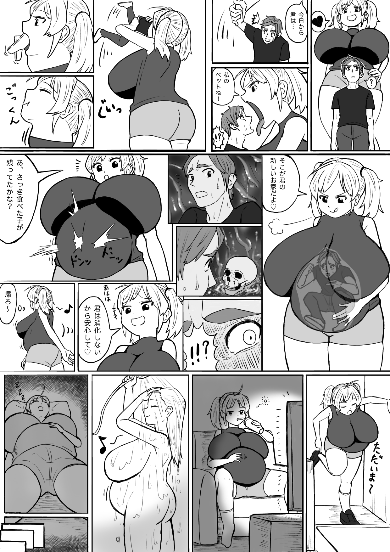 pet cover