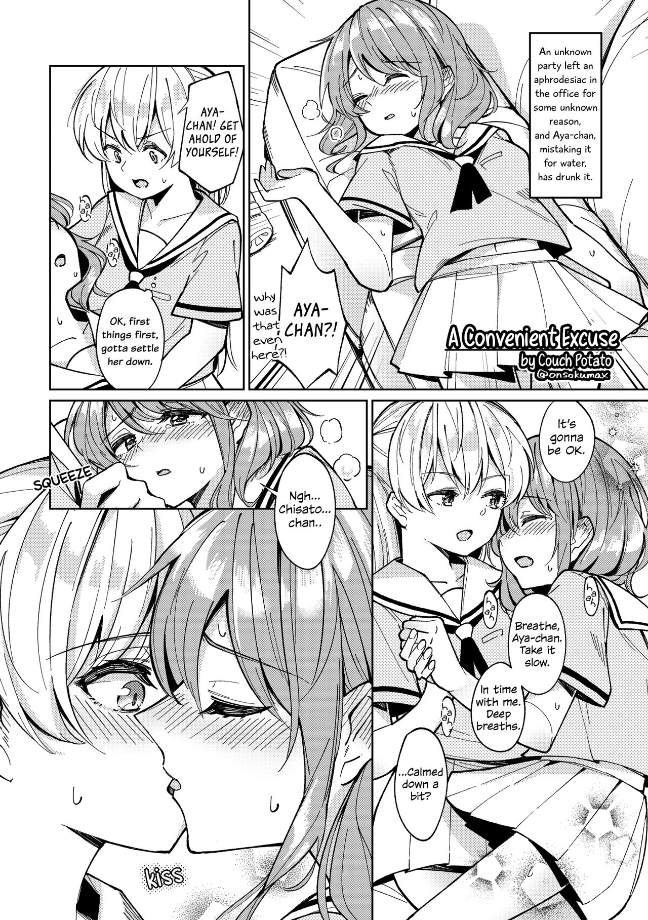 A Convenient Excuse cover