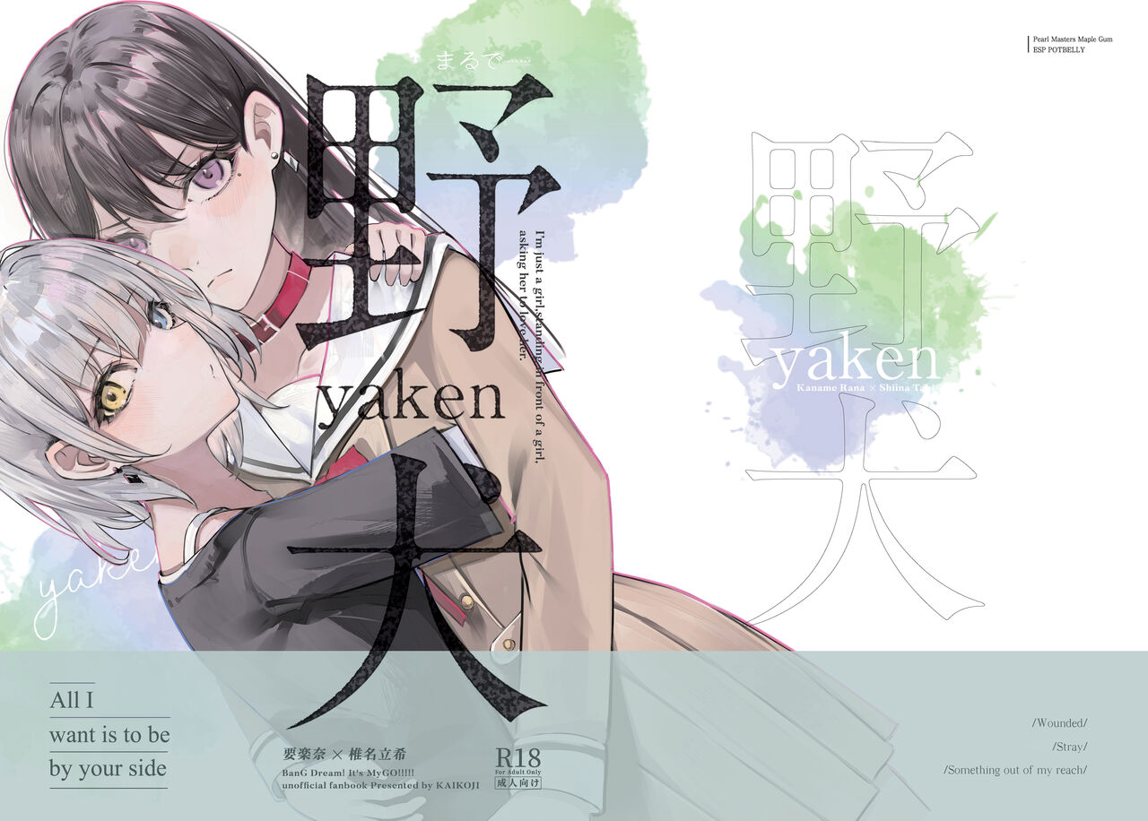 Stray Dog cover