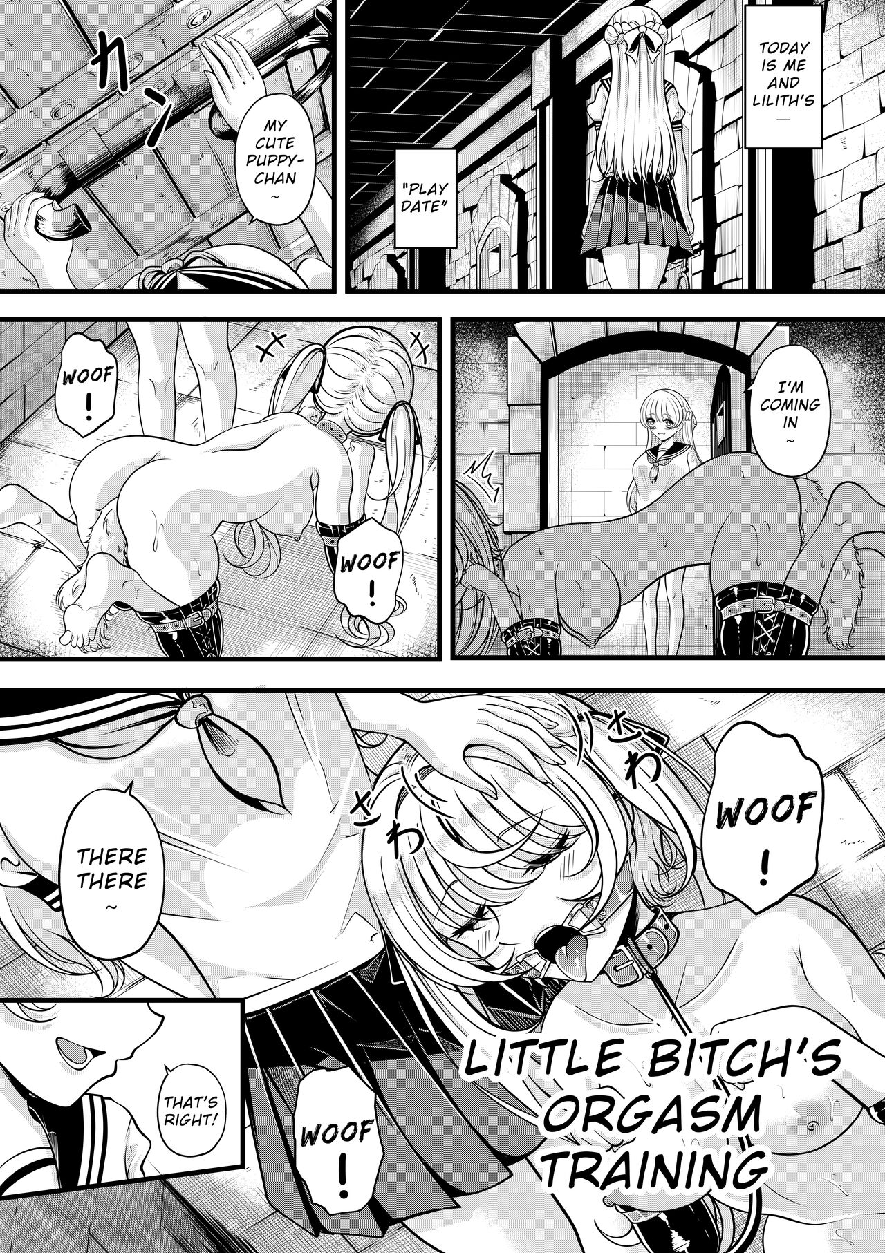 Lilith's Troubles—Little Bitch's Orgasm Training cover
