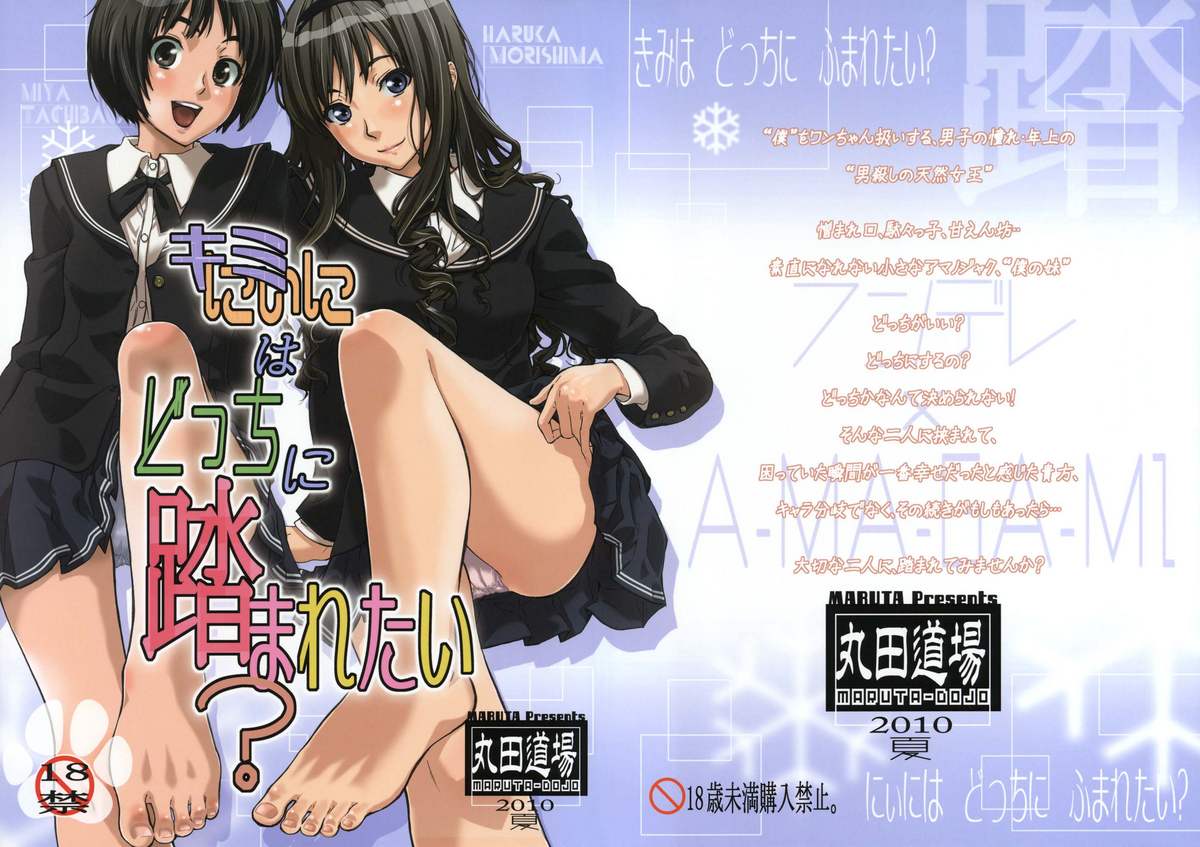 Kimi wa Docchi ni Fumaretai? (Amagami) [English] =LWB= cover
