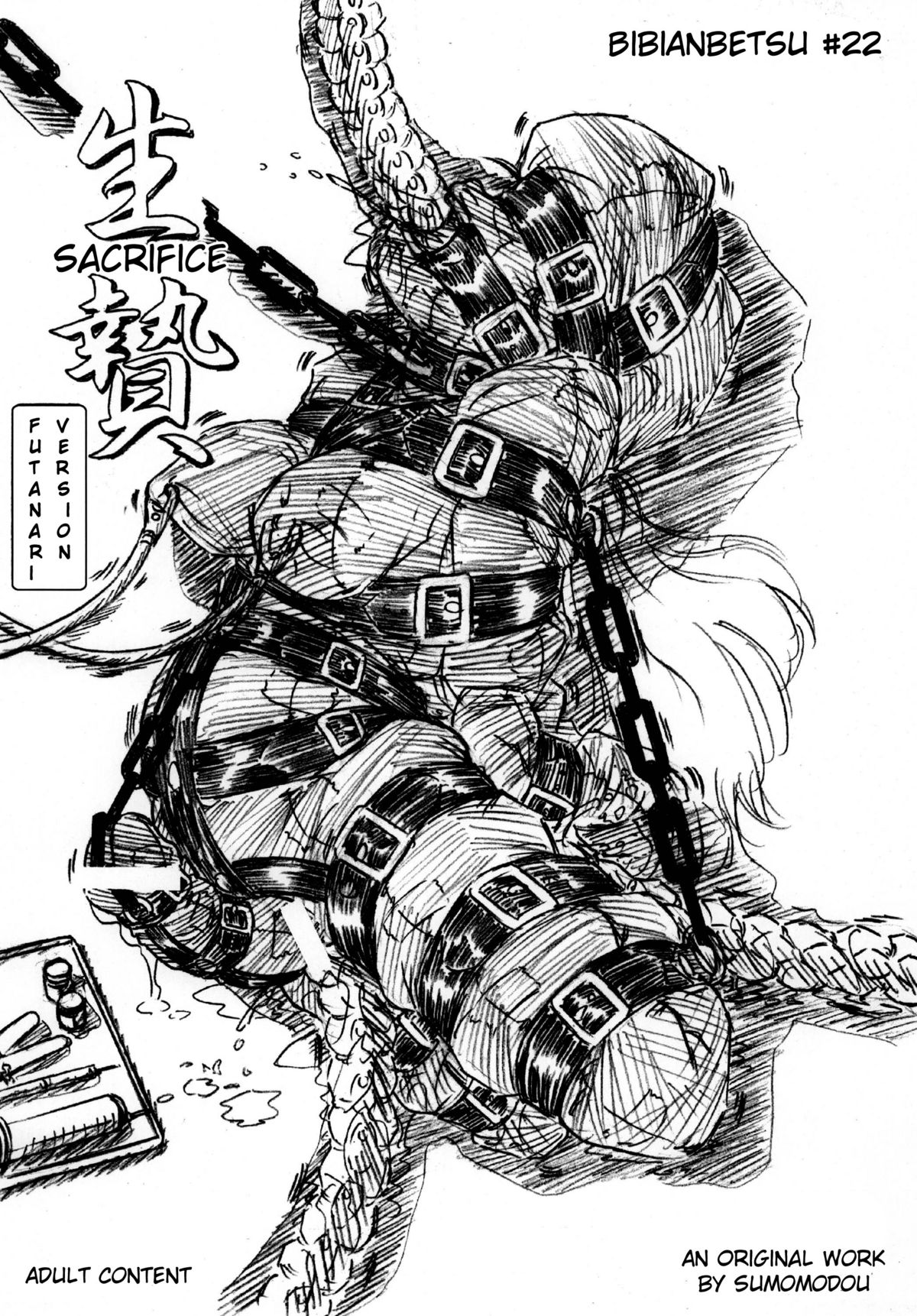 Bibi Anbetsu 22 cover