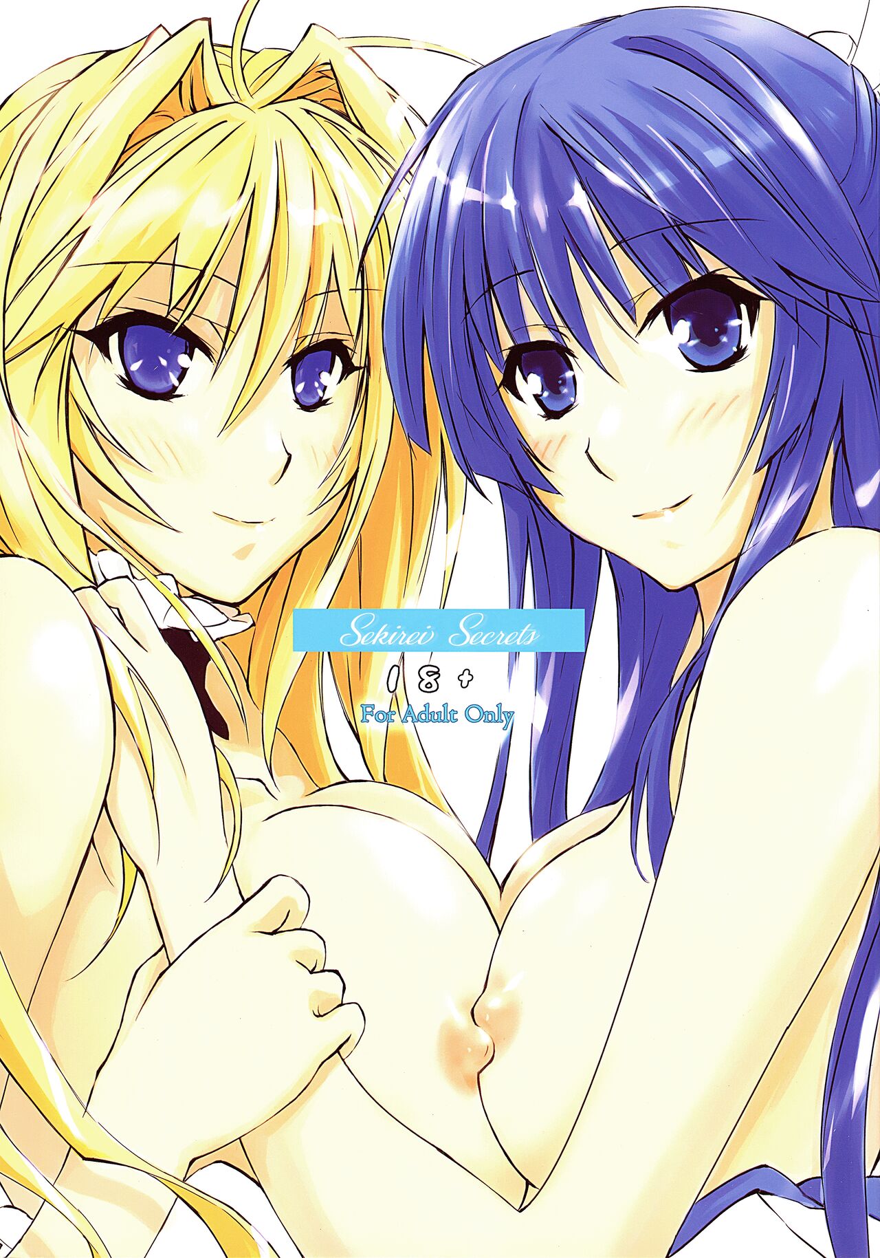 Sekirei Secrets cover
