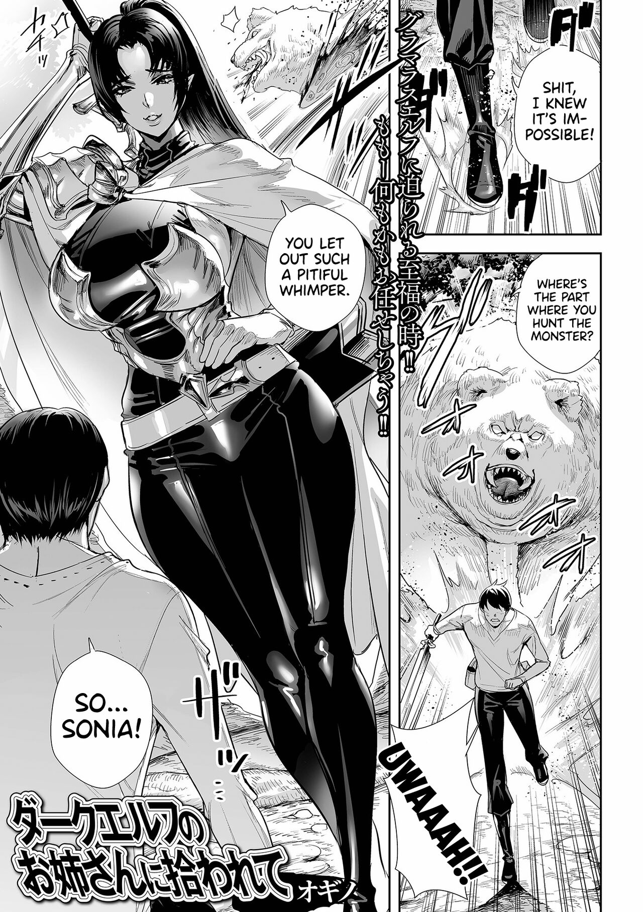 I Was Picked Up By Miss Dark Elf cover