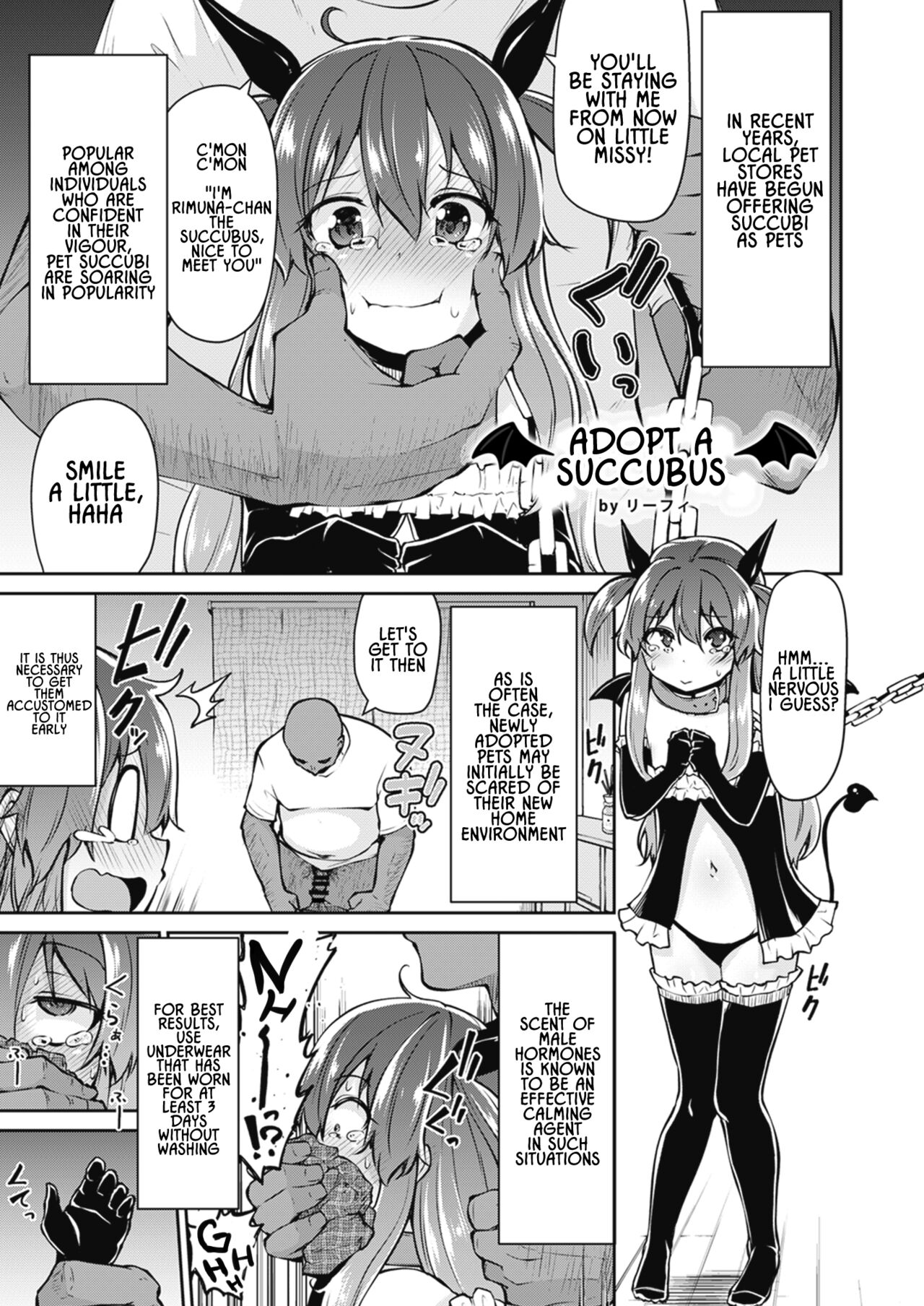 Adopt a Succubus cover