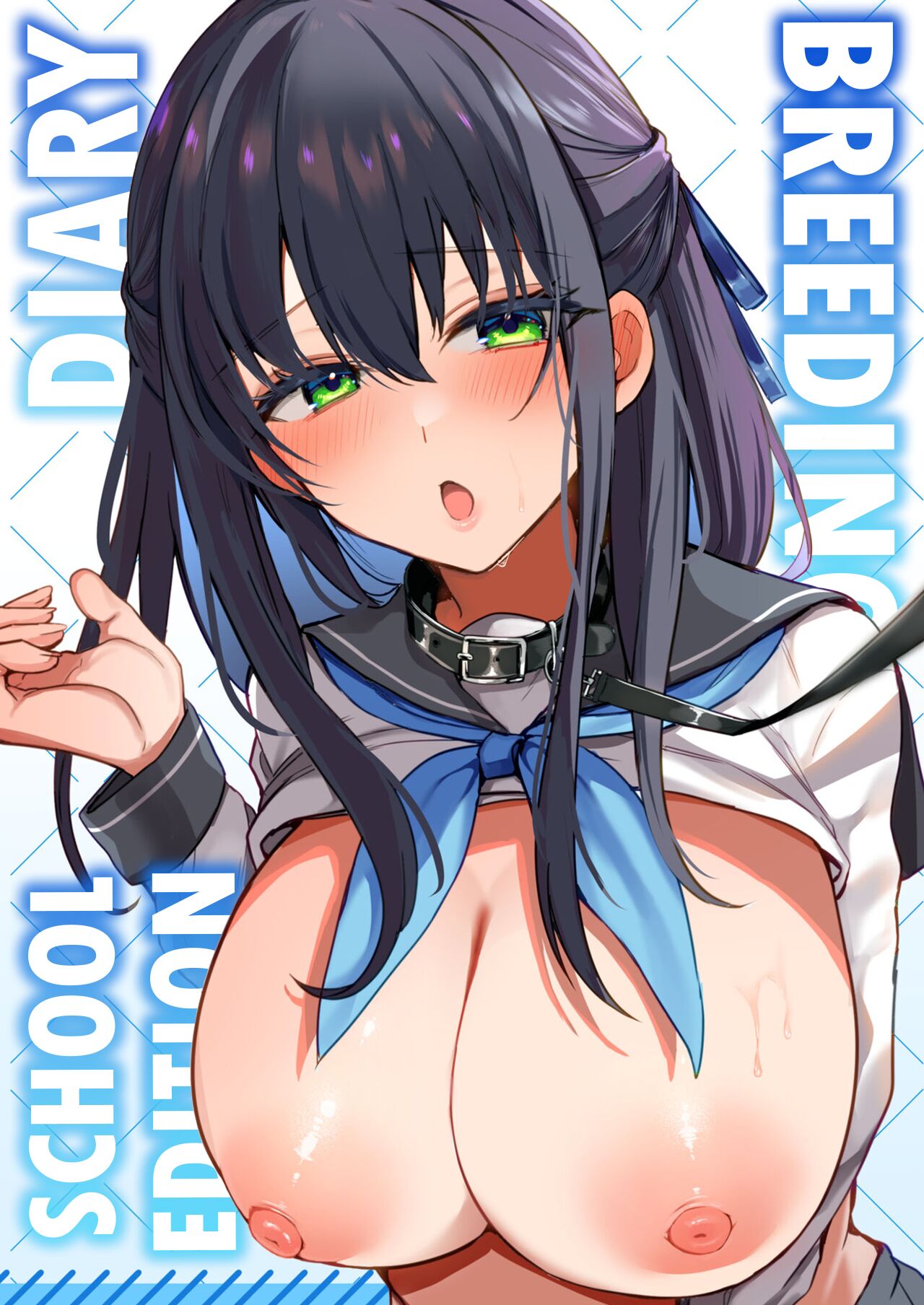 Breeding Diary cover