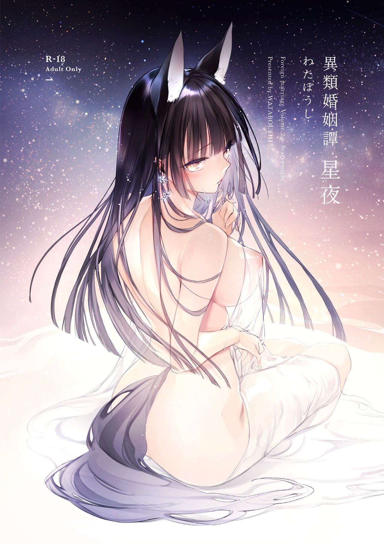 Irui Konintan Seiya - Foreign Marriage Volume. 2 - Starry Night cover
