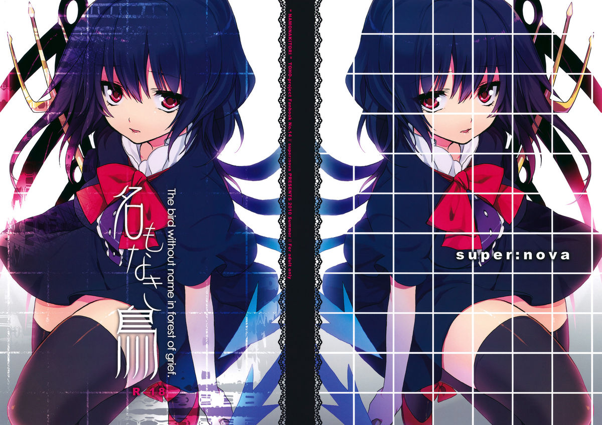 Na Mo Naki Tori - The bird without name in forest of grief. cover