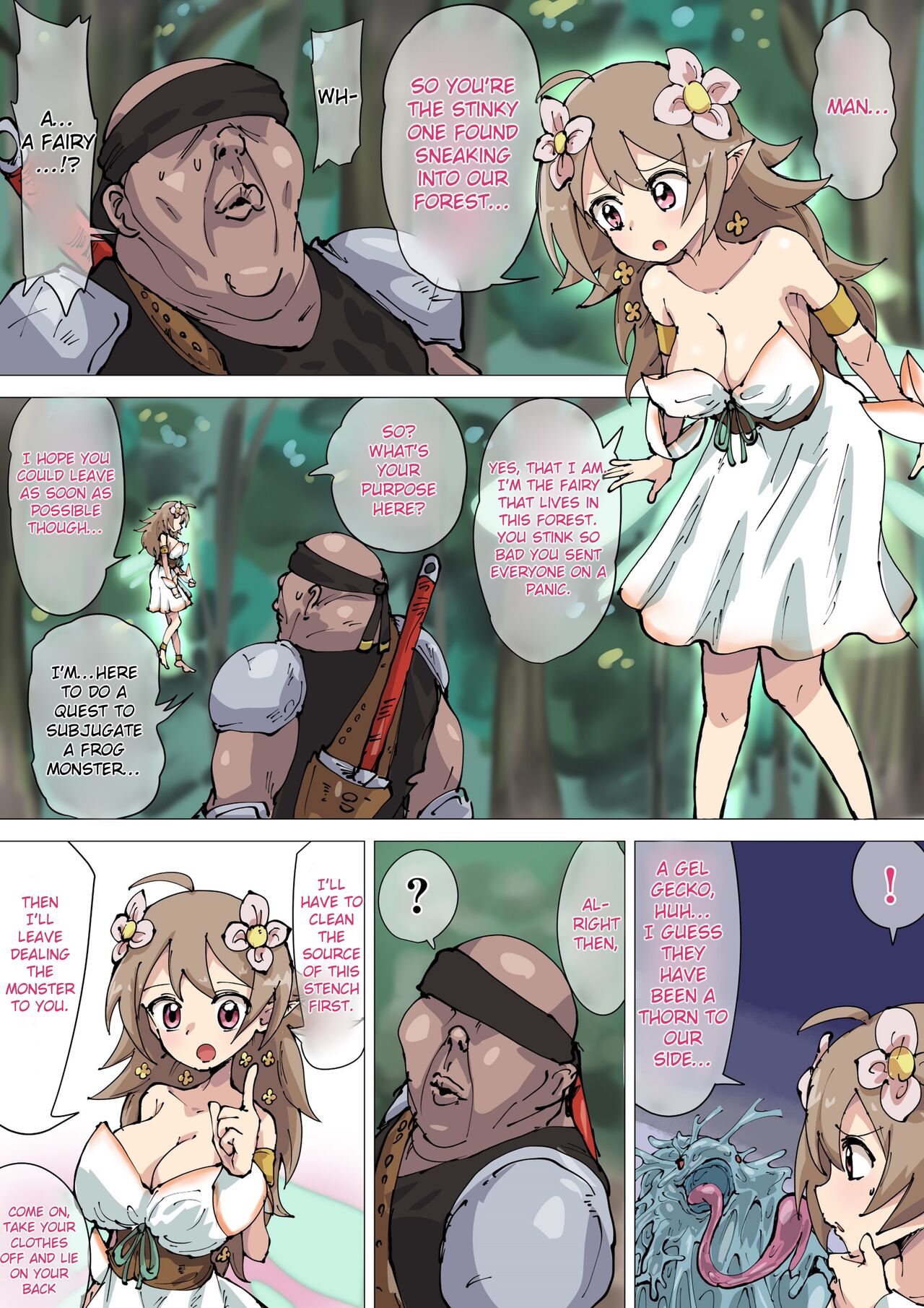 The Fairy's Smegma Cleaning cover