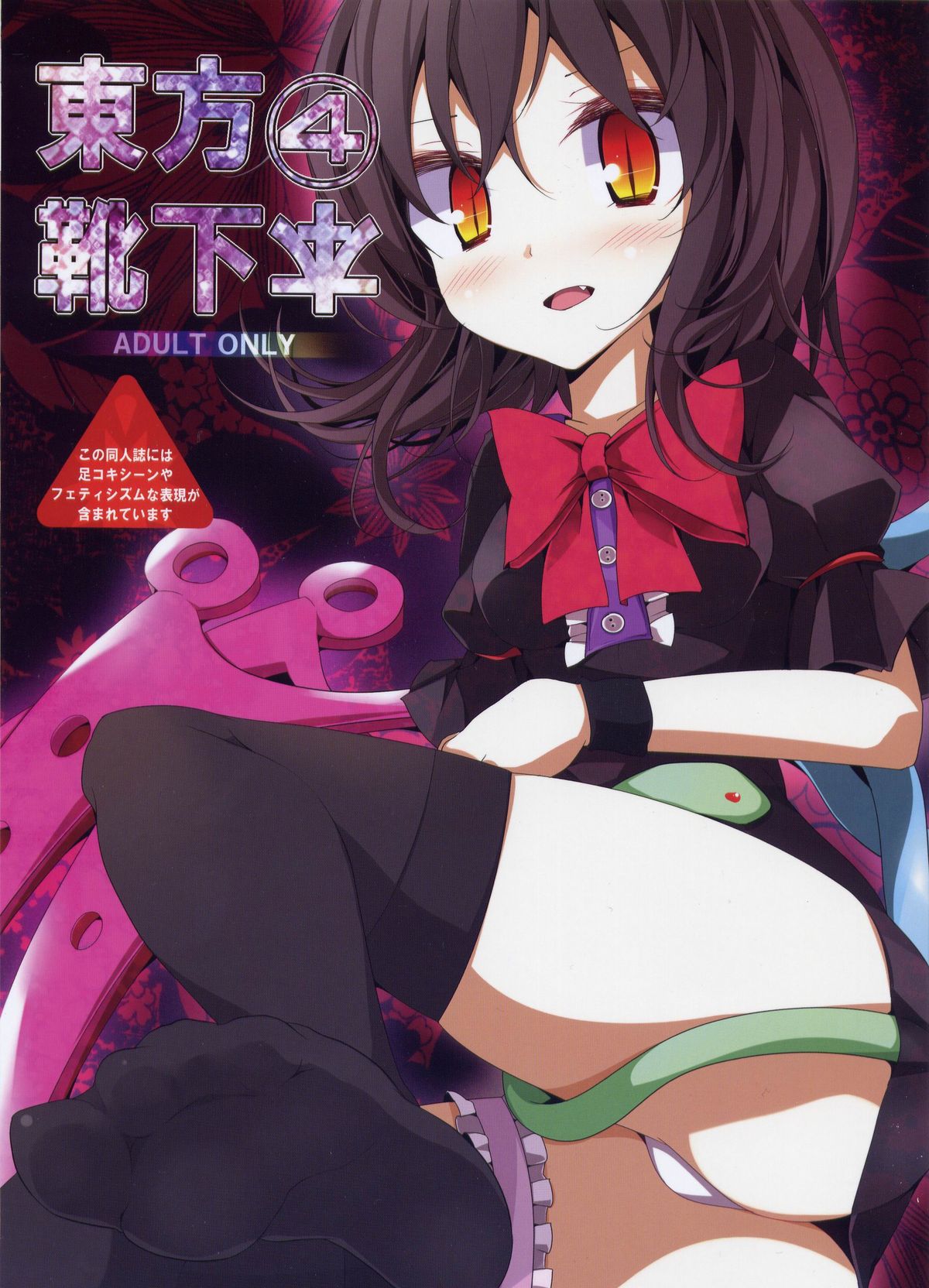 Touhou Socks Book 4 cover