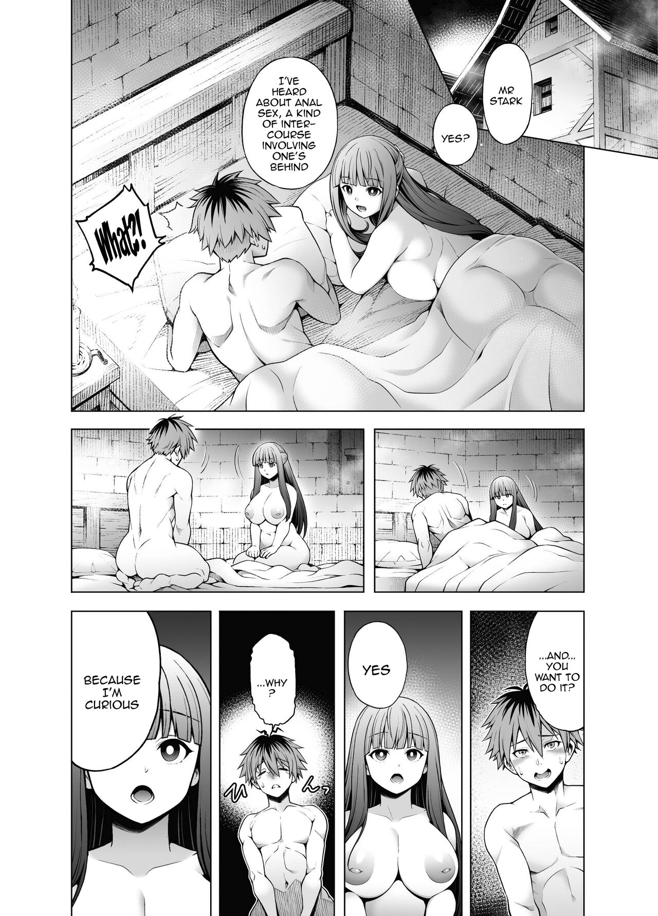 StaFern Anal Manga cover