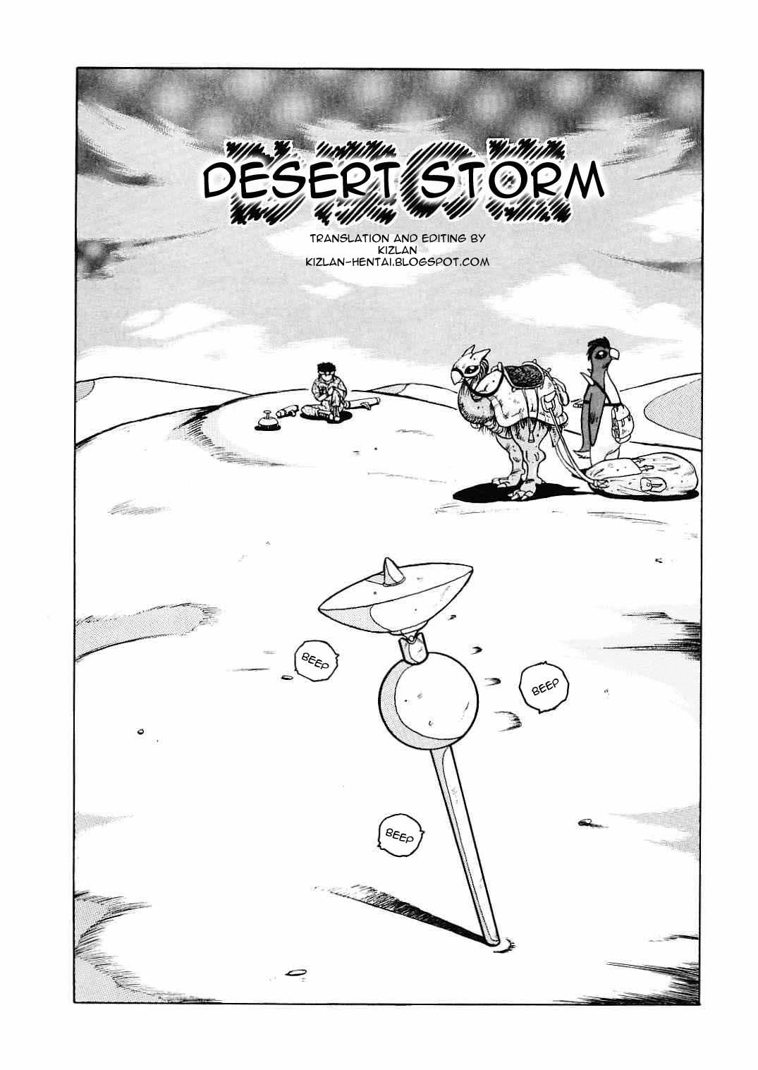 Desert Storm cover