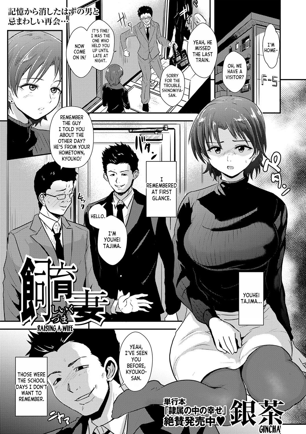 Raising a Wife cover